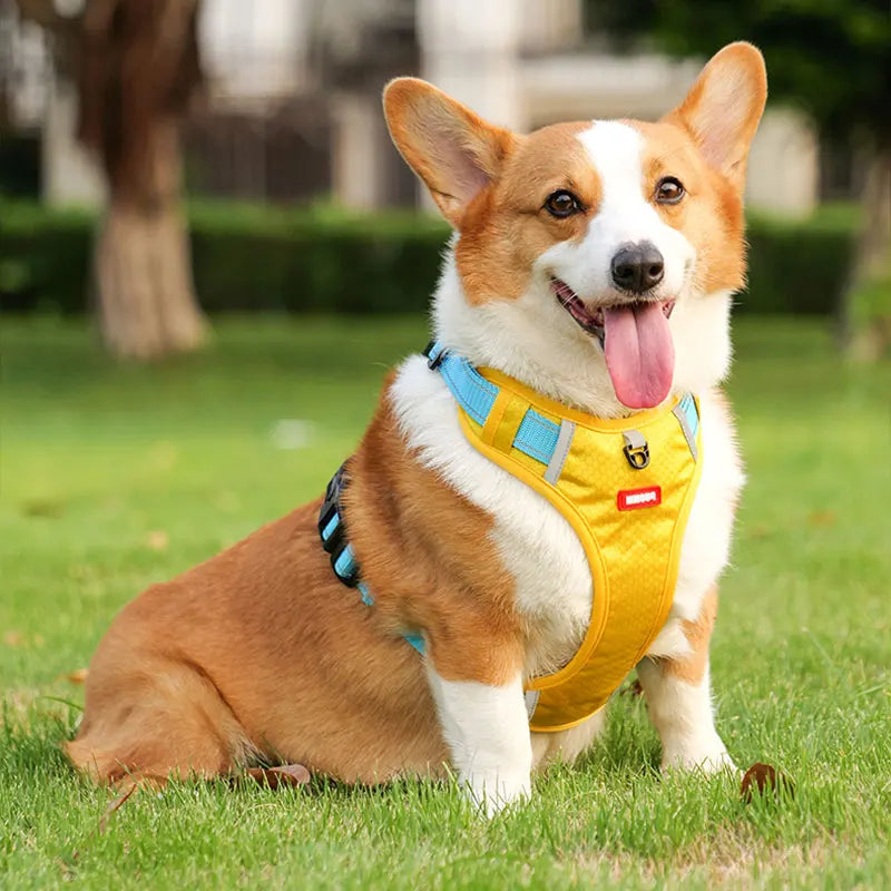 Reflective Breathable Dog Harness – Adjustable Chest Strap for Small & Medium Dogs